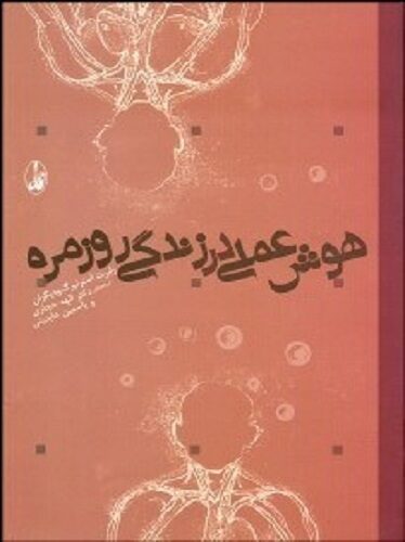 هوش عملی در زندگی روزمره