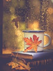 سرگرمی 7 کتاب در پاییز