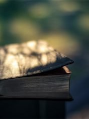 سرگرمی 7 کتاب های بهار ی