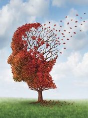 یادم نمی آید