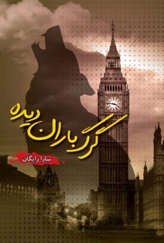 گرگ باران دیده