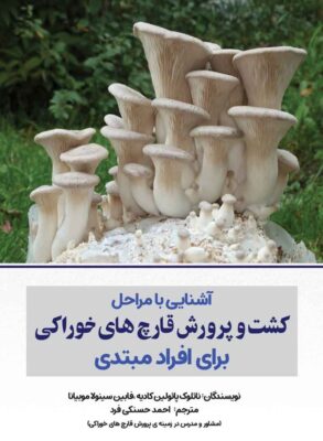 آشنایی با مراحل کشت و پرورش قارچ های خوراکی برای افراد مبتدی