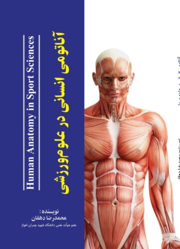 آناتومی انسانی در علوم ورزشی