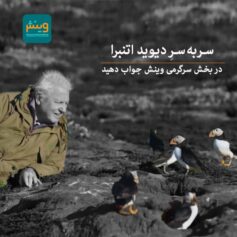 سر به سر دیوید فردریک اتنبرا مستندساز حیات وحش