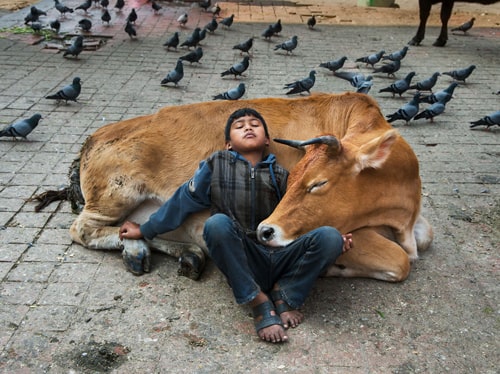Kathmandu, Nepal-Steve McCurryReport