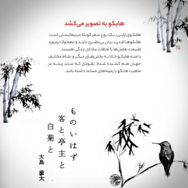 هایکو به تصویر میکشد
