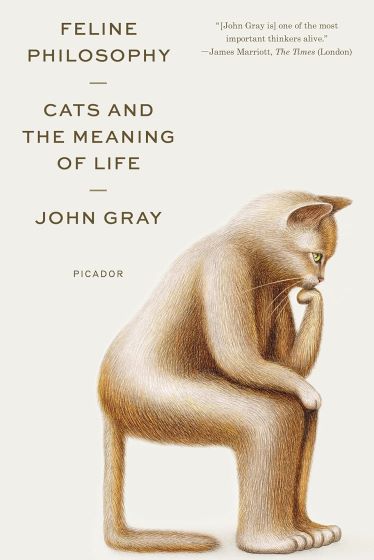 Feline Philosophy: Cats and the Meaning of Life