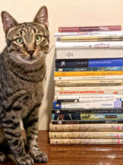 گربه‌ها و کتاب‌ها