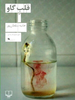 قلب گاو