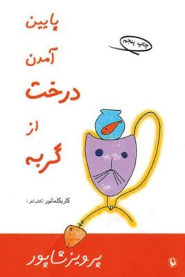 پایین آمدن درخت از گربه