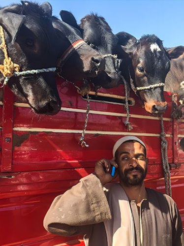 سفر به مصر (قسمت سوم)