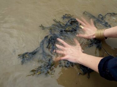  پسازبان و شعر اجرایی محیطی