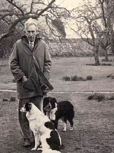 عکاسی، هنر کمتردیده‌شده‌ی ویرجینیا وولف