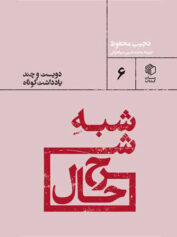 شبه شرح حال