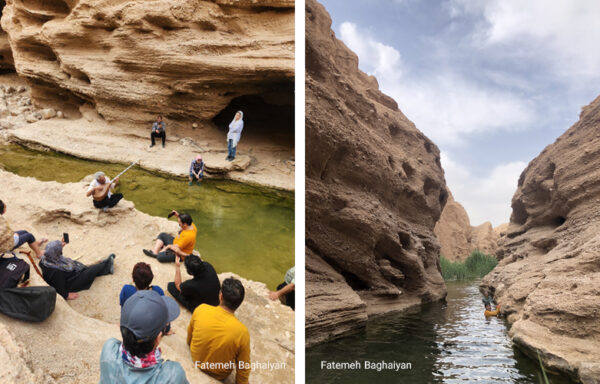 دوتارنوازی در کالجنی