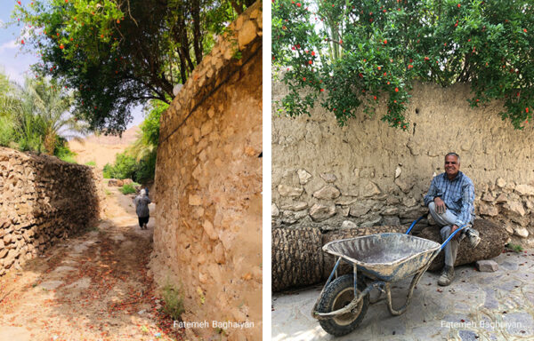 کوچهباغ ازمیغان