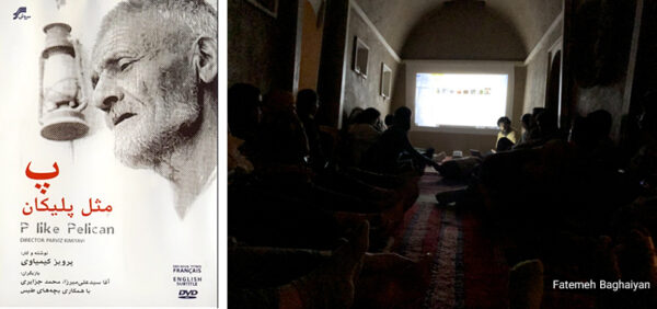 پ مثل پلیکان