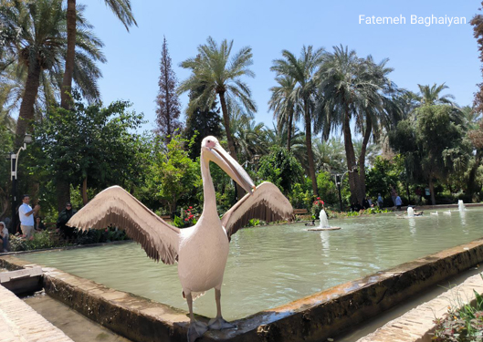 نماد باغ گلشن