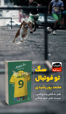 سگ تو فوتبال