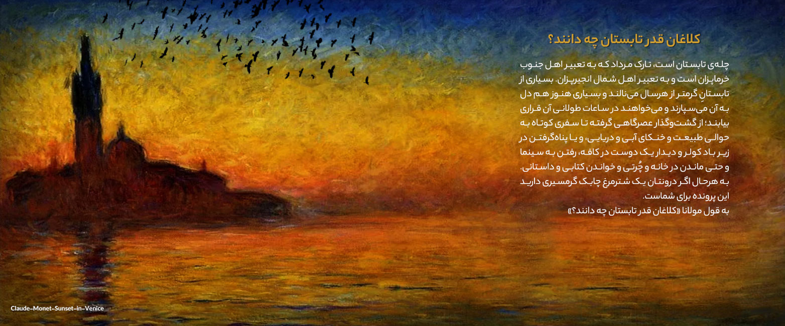 کلاغان قدر تابستان چه دانند؟ در حال‌وهوای خاطرات تابستان