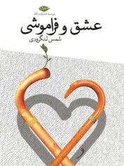 حافظه‌ای میان عشق و تاریخ - عشق و فراموشی